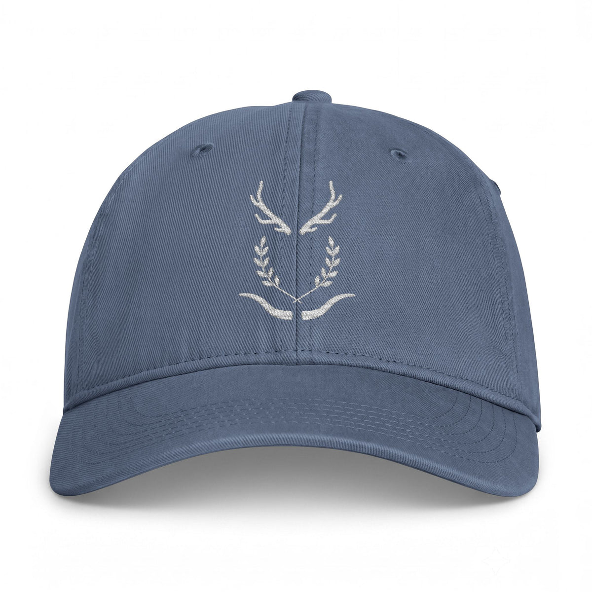 Coastal Washed dad hat