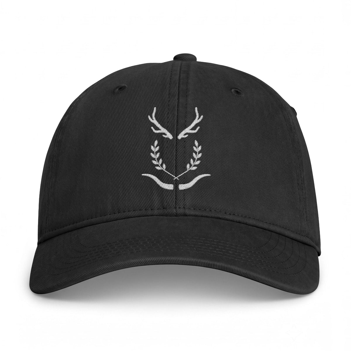 Coastal Washed dad hat