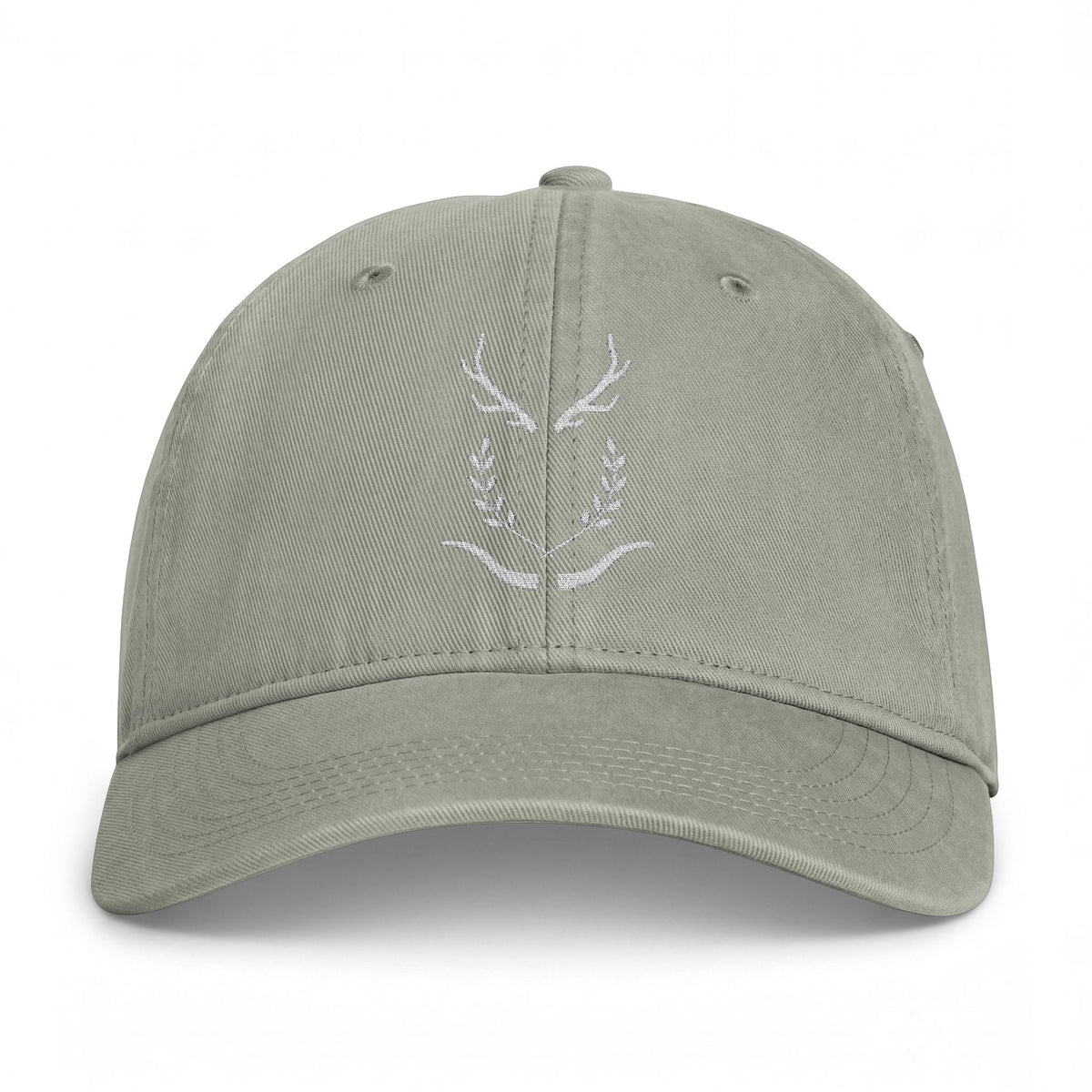 Coastal Washed dad hat